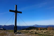 Zeller Staritzen Zeller Staritzen