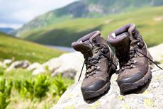 Student / Foto: INGimage Student / Foto: INGimage