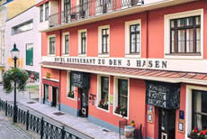 Hotel Drei Hasen