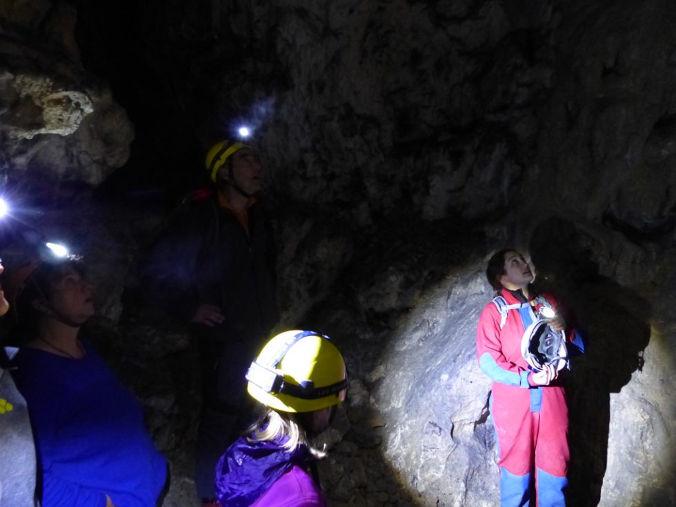 Hohlensteinhöhle Hohlensteinhöhle