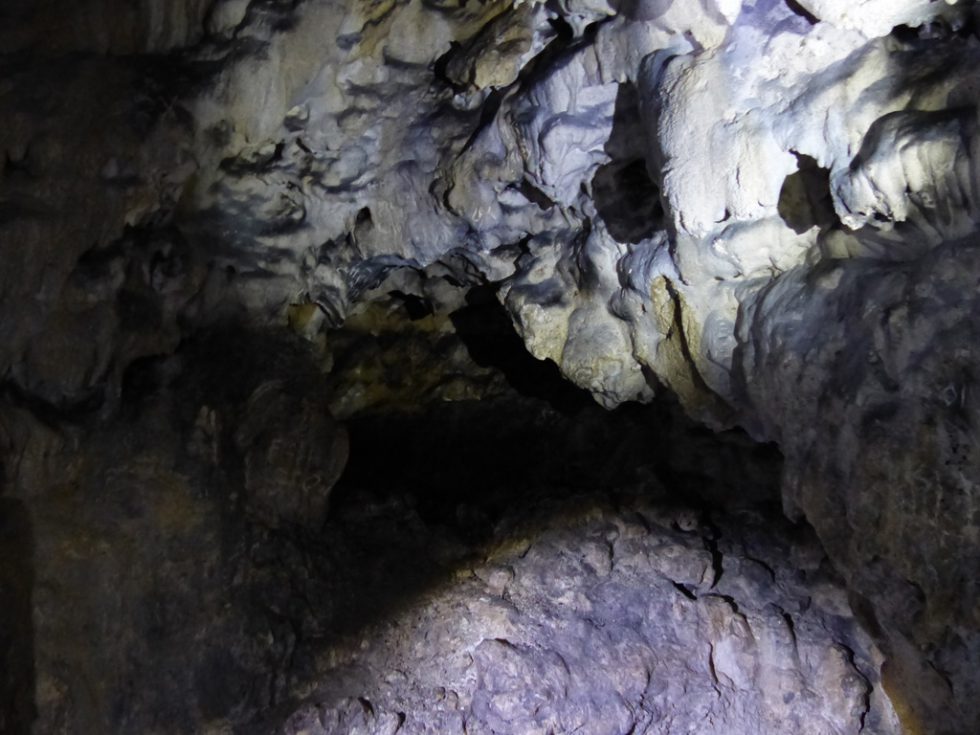 Hohlensteinhöhle Hohlensteinhöhle
