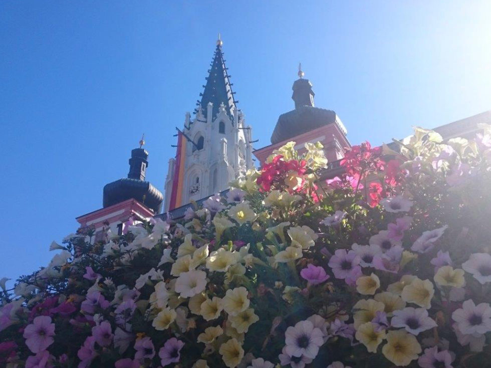 Guten Morgen Österreich Guten Morgen Österreich
