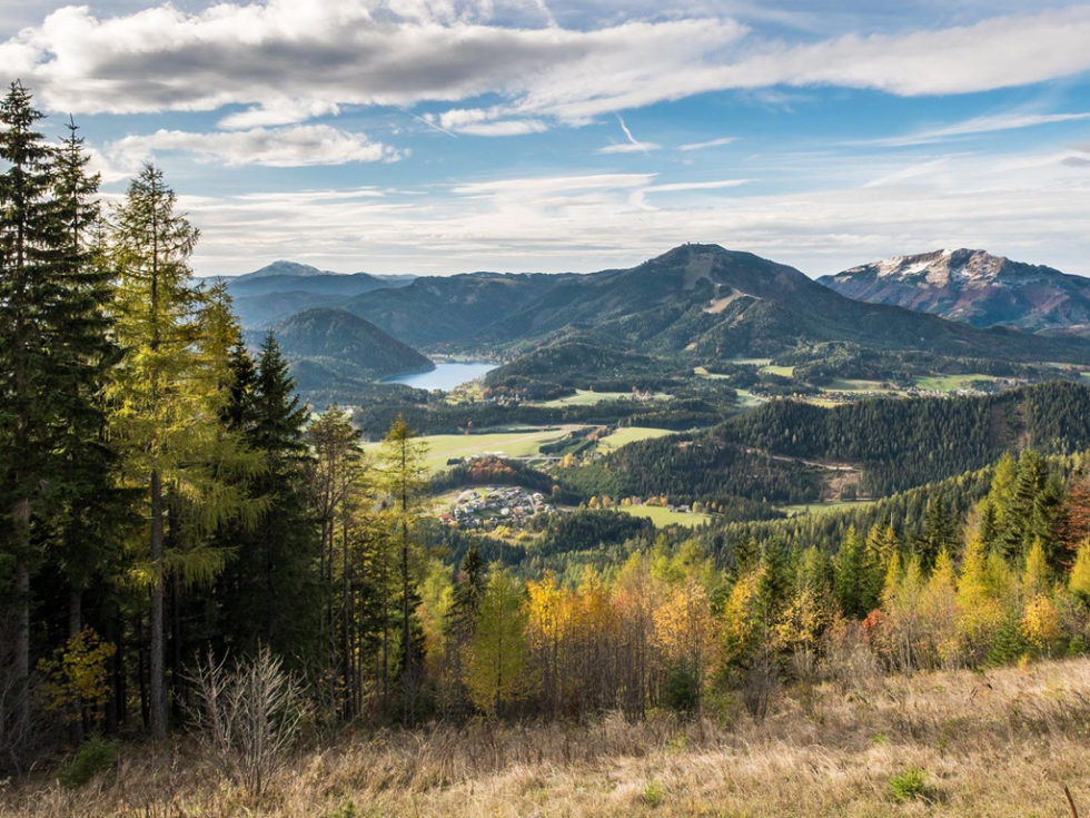 Herbstpackage 2017 Herbstpackage 2017
