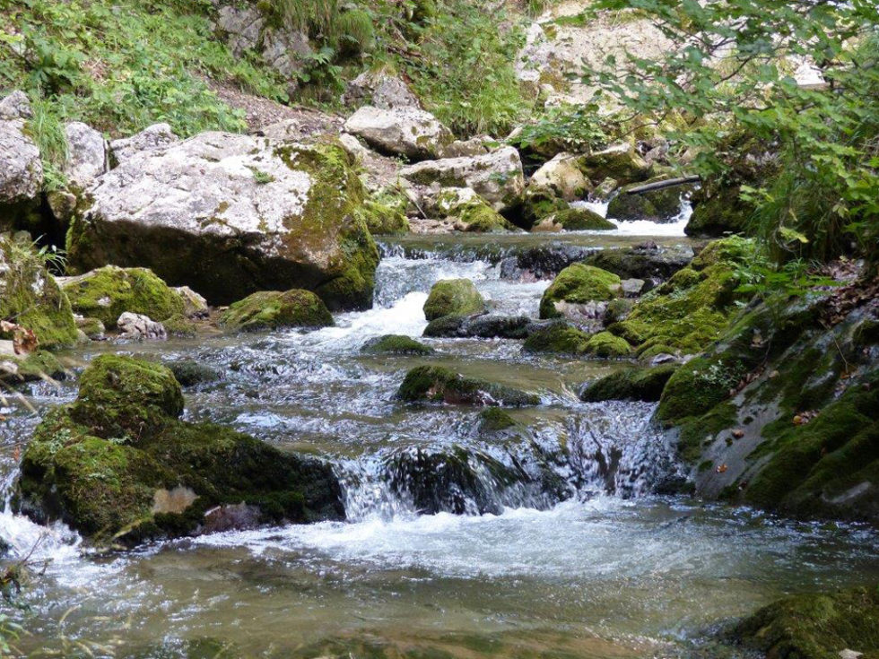 Ötscher-Tormäuer Ötscher-Tormäuer