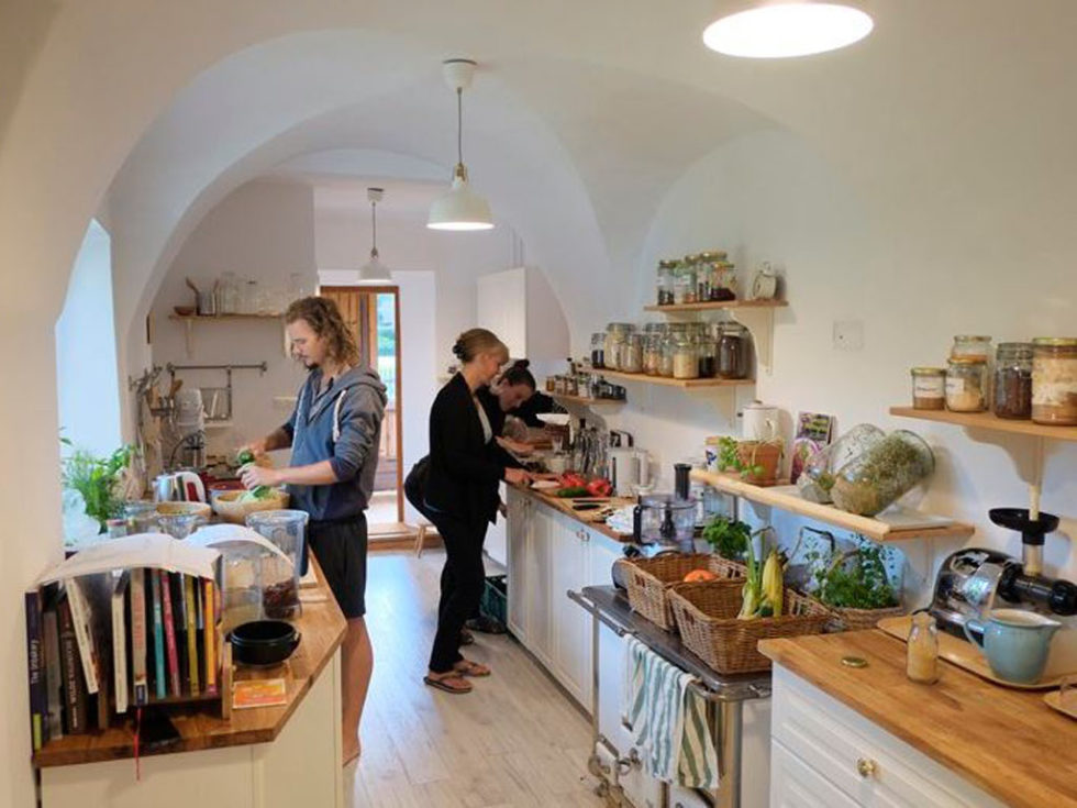 Foto: Raw & Wild Retreat Center Mariazell