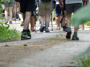 Mariazeller Gründerweg Mariazeller Gründerweg