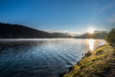 Erlaufsee - Foto: Michael Stelzl Erlaufsee - Foto: Michael Stelzl