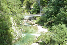 Trefflingfall