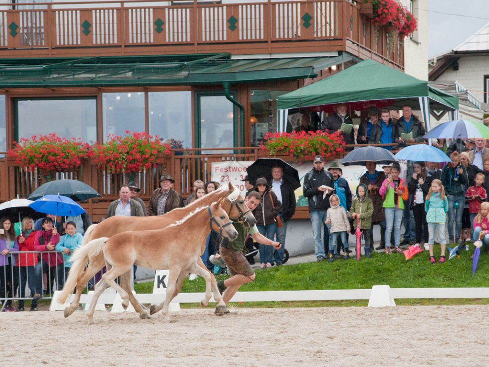 Foto: Schaglhof
