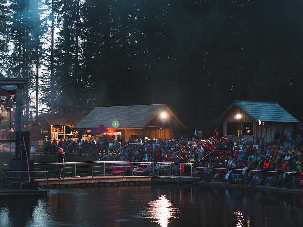 Seer Konzert Bergwelle 2018 - Foto: Anna Scherfler