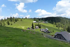 Göriacher Alm - Hochanger