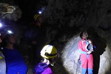 Hohlensteinhoehle / Foto: Mariazell Online