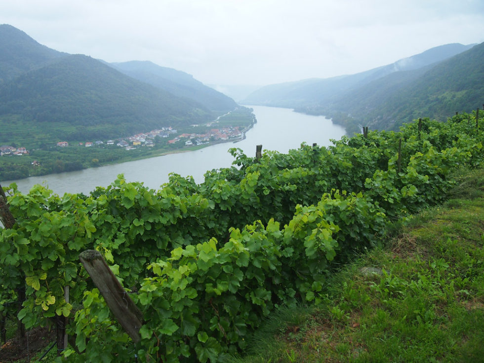 Foto: imsalzatal Foto: imsalzatal