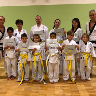 Taekwndo, Foto: yu-taekwondo.at