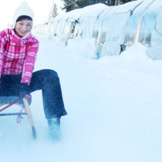 Rodeln - Foto: Annaberger Lifte