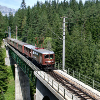 Ötscherbär - Foto: NÖVOG