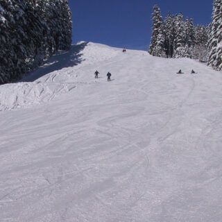 Bürgeralpe Hofstatt, Foto: Mariazell Online