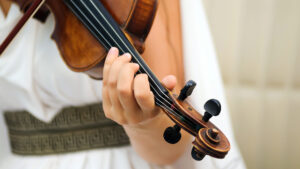 Geige, Foto: INGImage