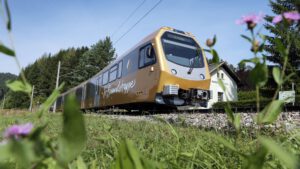 Himmelstreppe - Foto: NÖVOG, weinfranz.at