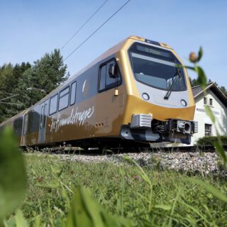 Himmelstreppe - Foto: NÖVOG, weinfranz.at