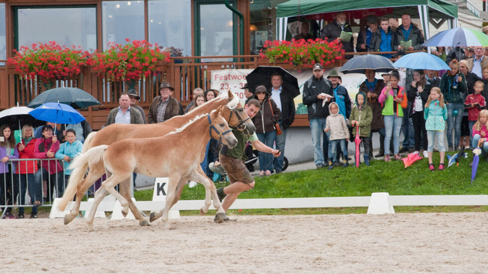 Foto: Schaglhof