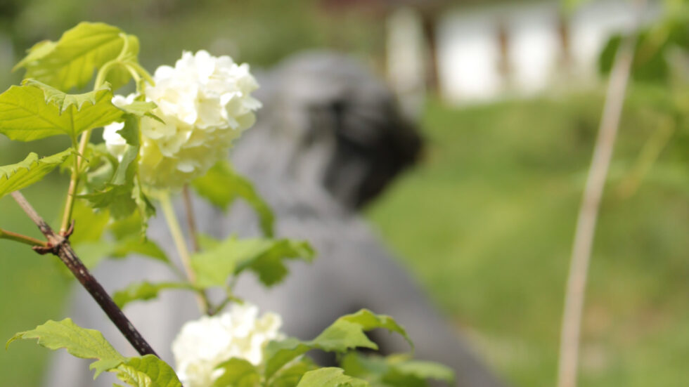 Greith, Foto: Ulrike Schweiger