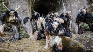 Foto: Mitterbacher Seeteufln