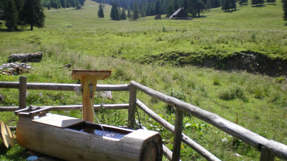 Dürriegelalm, Foto: Mariazell Online