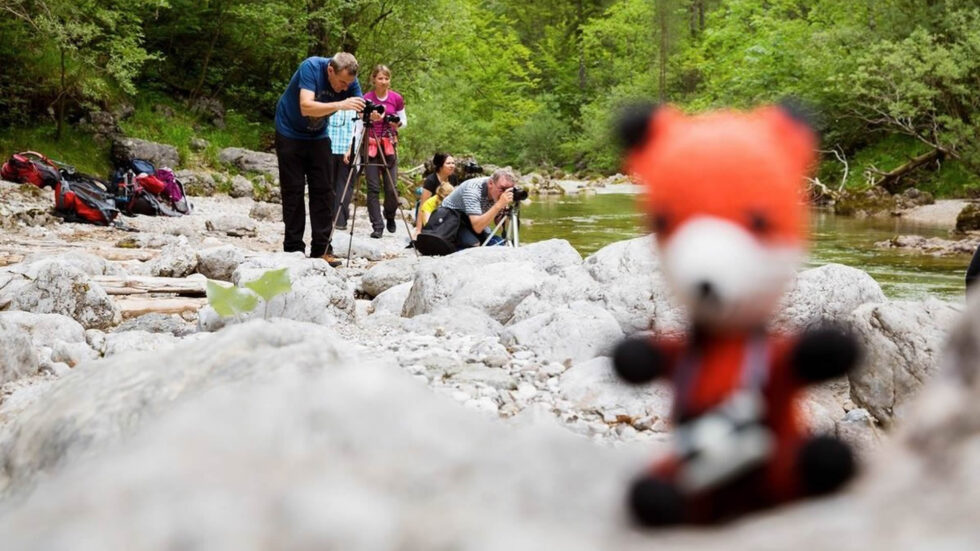 Fotokurs Ötschergräben - Foto: Die Fotofüchse