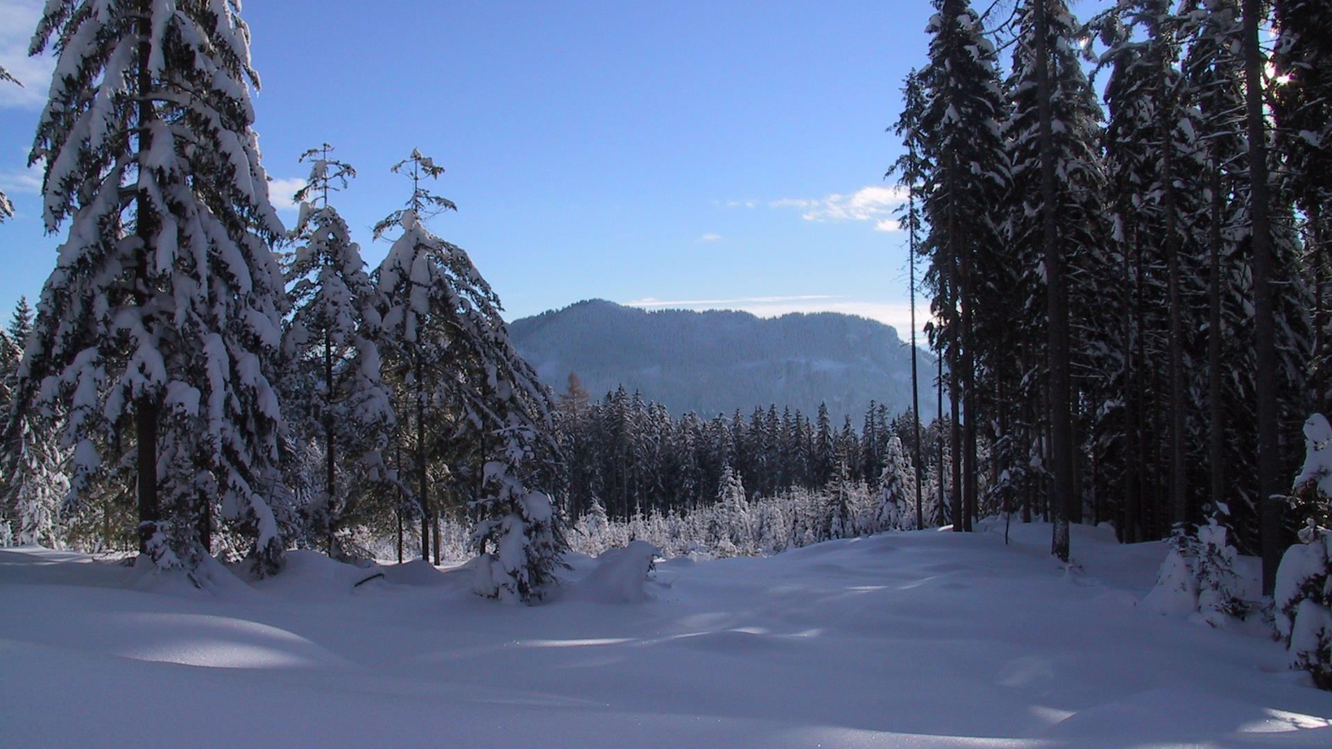 Foto: Mariazell Online