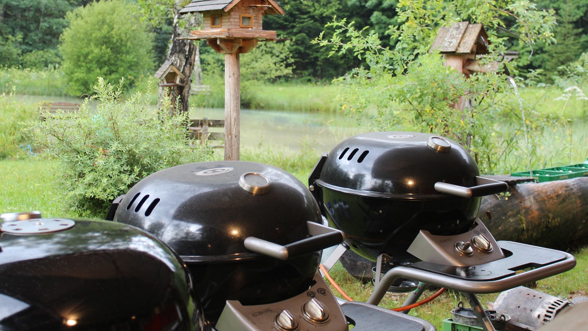 Wildes Grillen - Foto: IM SALZATAL