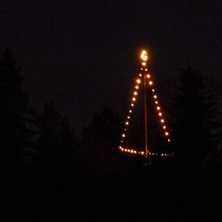 Hollerleiten-Christbaum - Foto: Mariazell Online