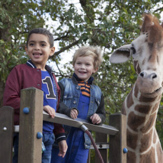 Mein Freund, die Giraffe - Foto: © Little Dream Entertainment