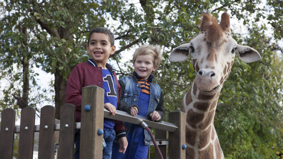 Mein Freund, die Giraffe - Foto: © Little Dream Entertainment