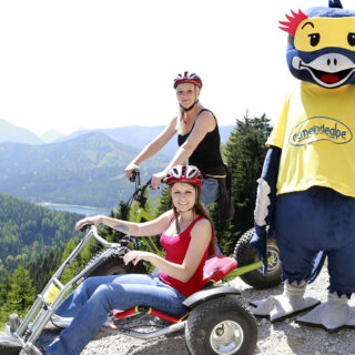 Mountaincart Gemeindealpe - Foto: NÖVOG / Luger