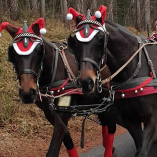 Nikolauskutsche 2020 - Foto: Mariazeller Land GmbH