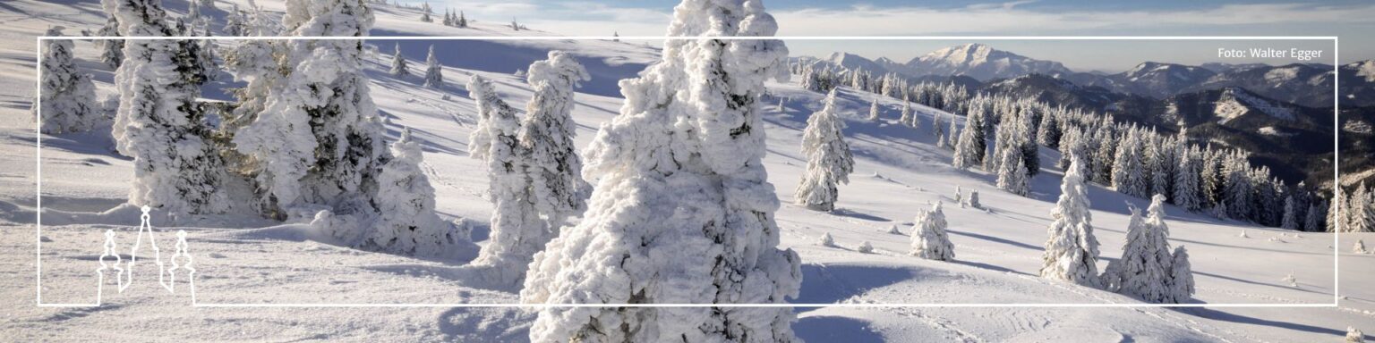 Quartiere – Mariazell Online