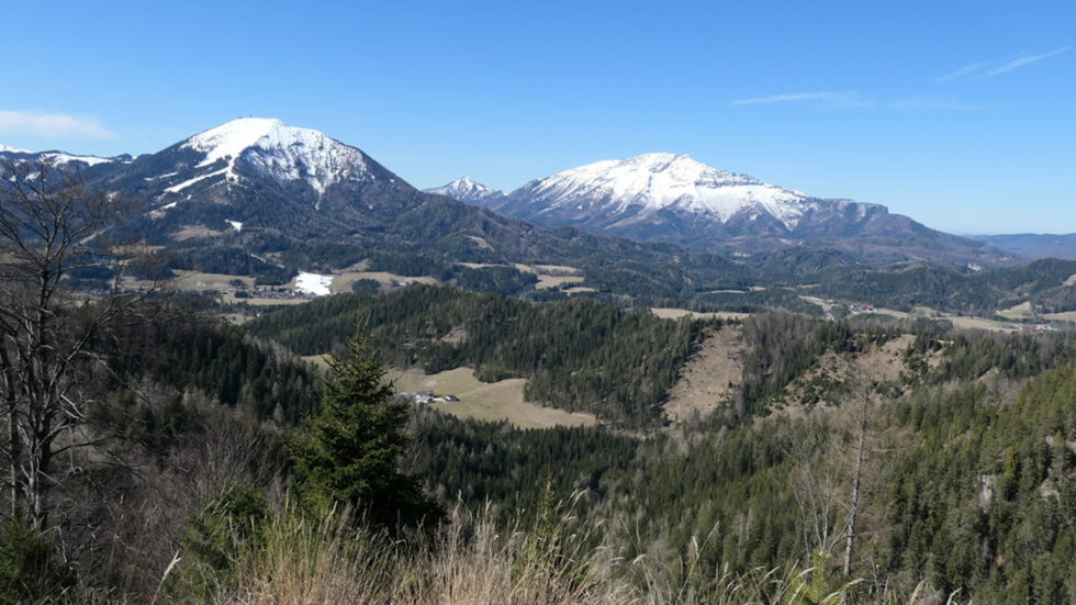 Ausblick vom Sonneckgipfel - Foto: Alpenverein Mariazellerland