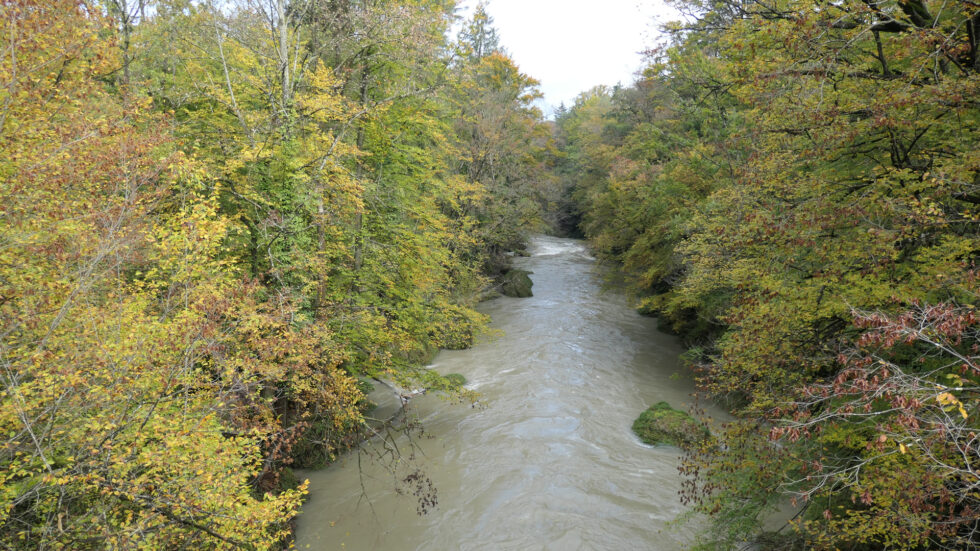 Erlaufschlucht - Foto: Alpenverein Mariazellerland