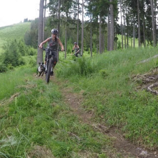 Singletrails Josefsberg - Foto: MTB Josefsberg