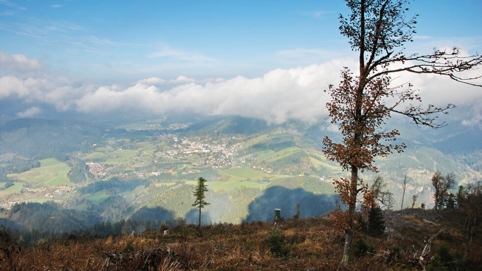 Sauwand - Foto: Alpenverein Mariazellerland