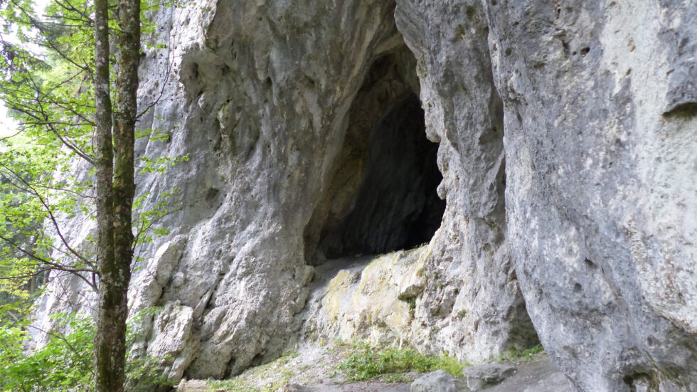 Hohlensteinhöhle - Foto: Mariazell Online