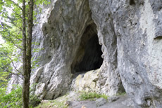Hohlensteinhöhle - Foto: Mariazell Online