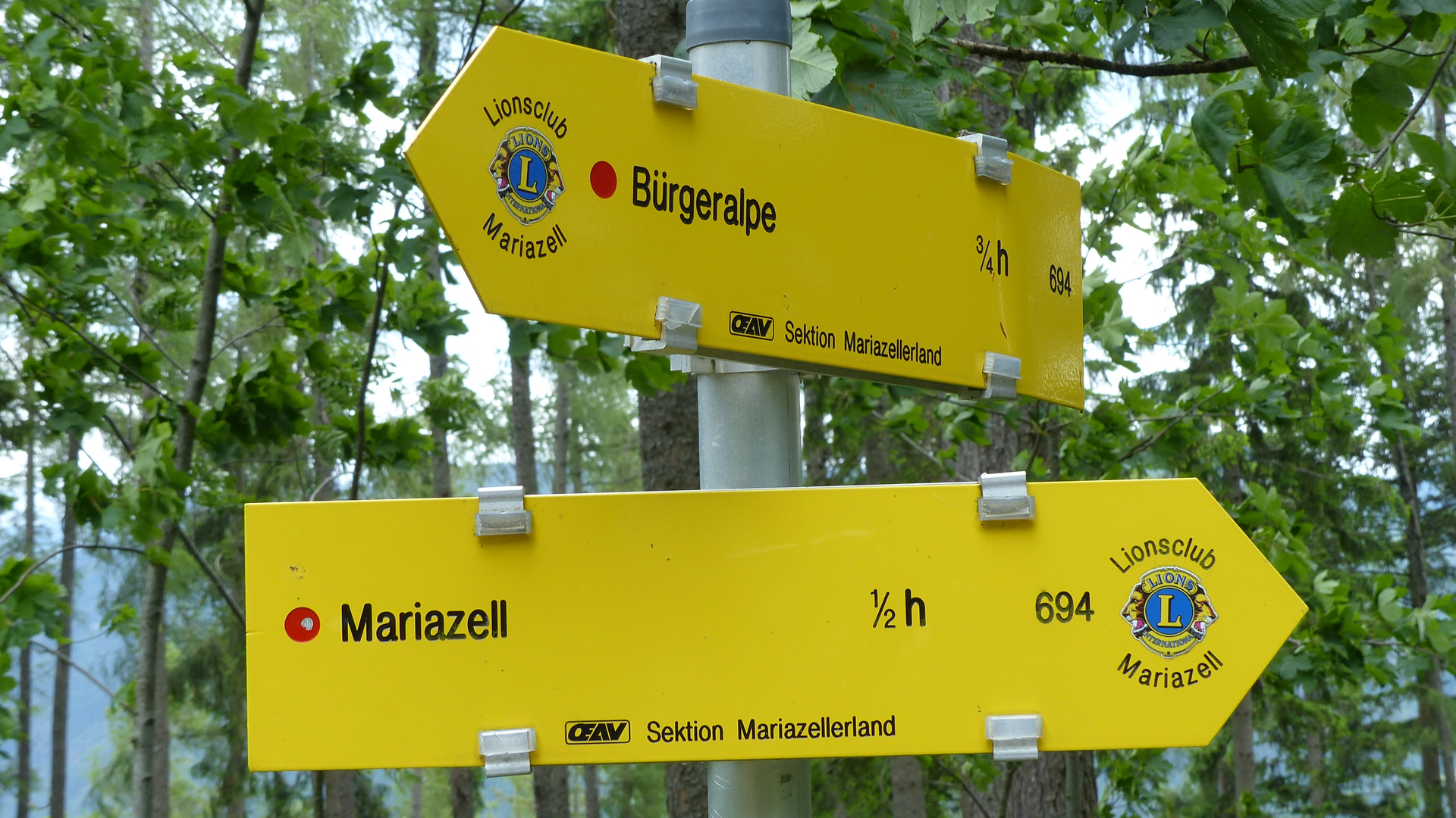 Wandern auf der Bürgeralpe - Foto: Mariazell Online