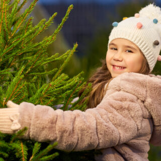 Christbaumverkauf - Foto: INGImage
