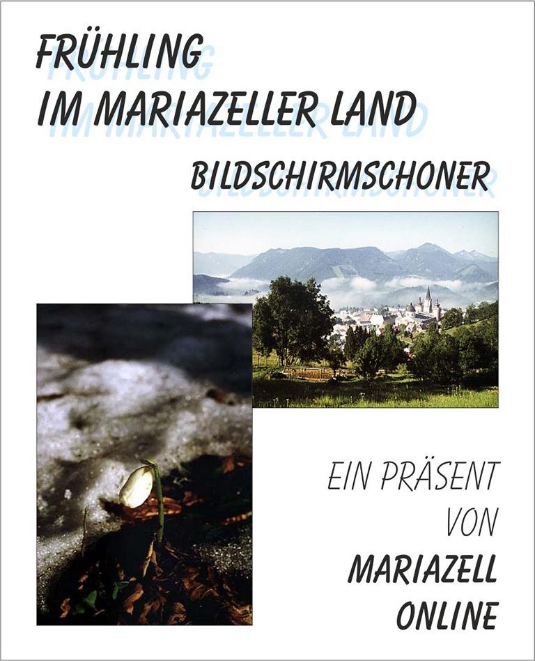 Bildschirmschoner Bildschirmschoner