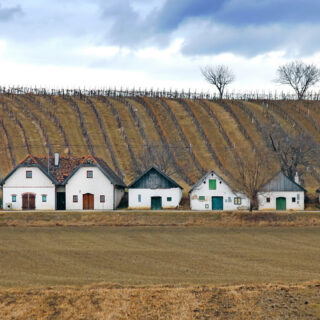 Kunstausstellung "Wein & Brot" - Foto: Hans Hölblinger