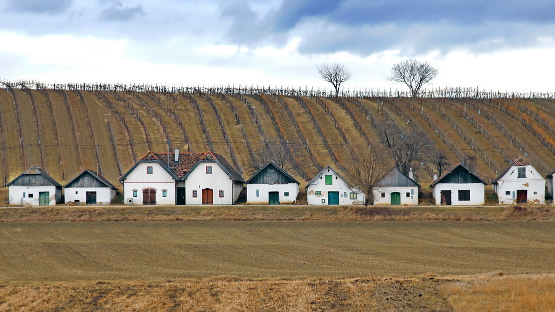 Kunstausstellung "Wein & Brot" - Foto: Hans Hölblinger