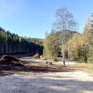 Bauarbeiten am Erlaufsee - Foto: Mariazell Online
