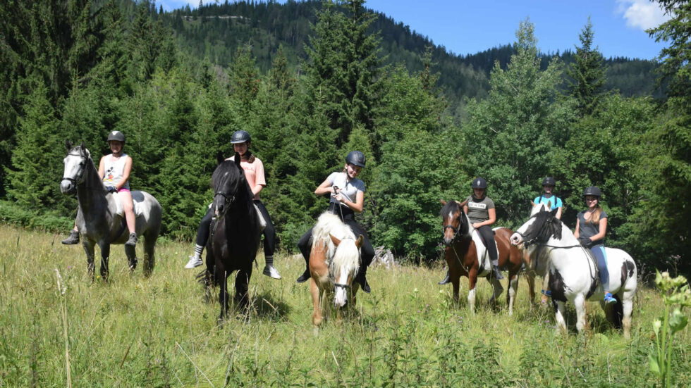 Pferdefest Braschlhof, Foto: Claudia Schneck